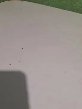 Cam4 Adult Webcam of rickcba