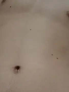 Cam4 Sex Cam of NOVINHOMUDO