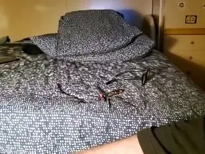 Cam4 Free Porn Cam of scrocchia84