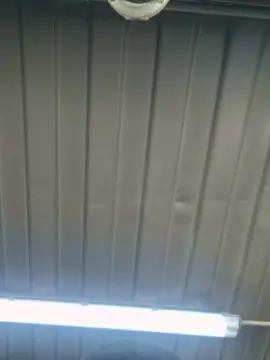 Cam4 Sex Cam of Pitufo234
