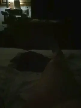 Cam4 Sex Chat of otelmo
