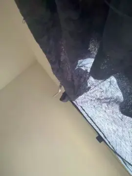 Cam4 Best Webcam of Senhornunes