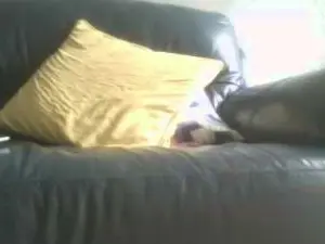 Cam4 Free Porn Cam of ralphhasone