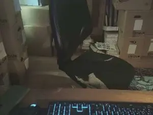Cam4 Free Live Porn of borninxixax