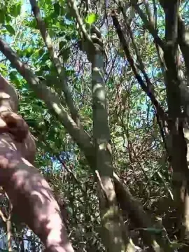 Cam4 Live Porn of Vairon_hoot