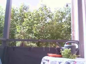 Cam4 Adult Video Chat of Jupp_Pervers