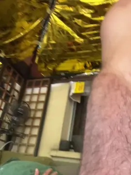 Cam4 Watch Live Sex Cams of cho54_fun