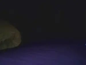 Cam4 Live Sex of Deepstatement