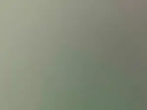 Cam4 Adult Video Chat of Josegg1810