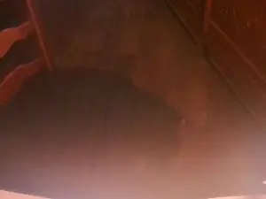 Cam4 Live Sex of serge74531