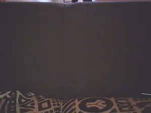 Cam4 Sex Cam of Dutchversaguy