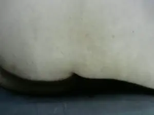 Cam4 Best Webcam of leaveitinsideme