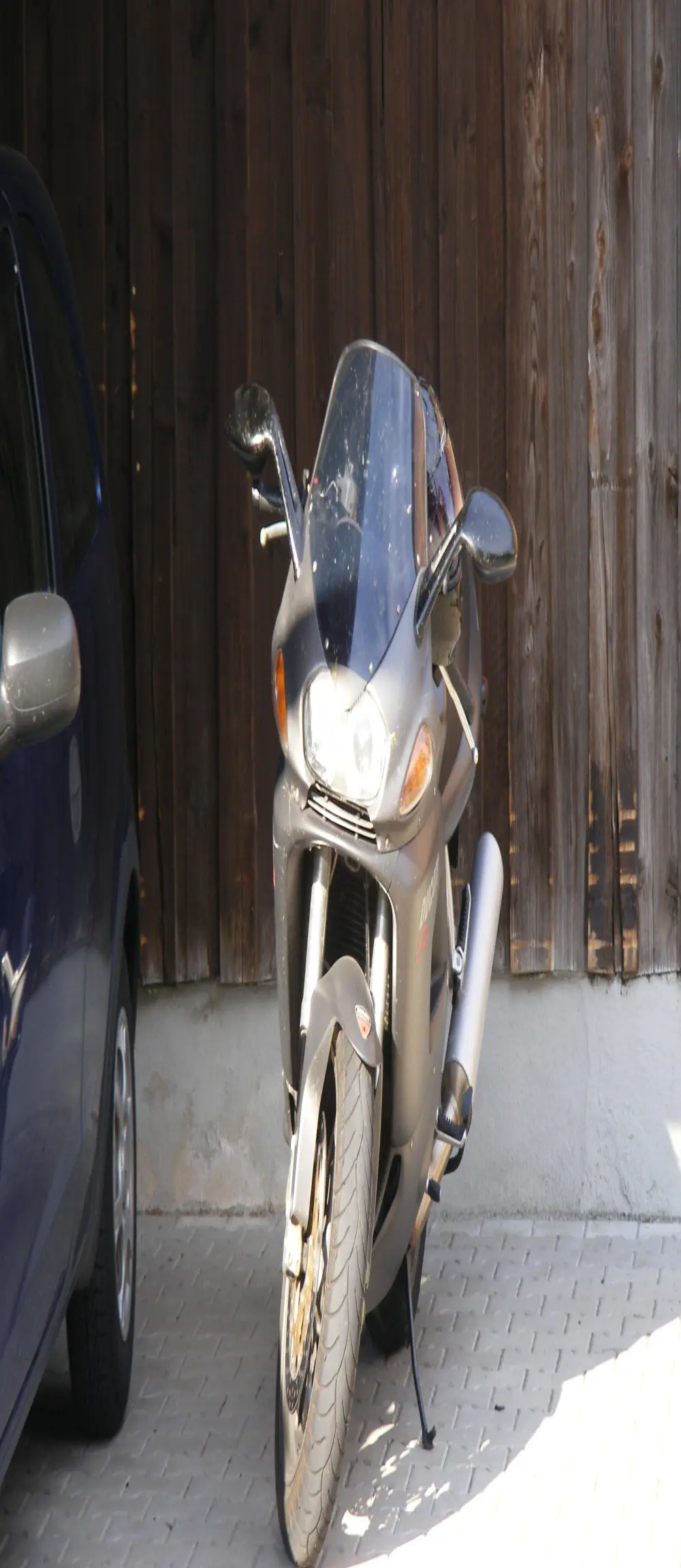 haasen50