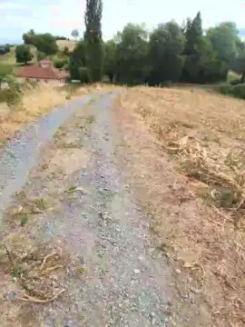 Cam4 Live Porn of Legtiste