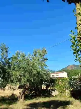 Cam4 Sex Cam of Geusii