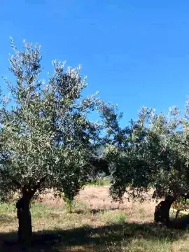 Cam4 Live Sex of Geusii