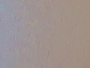 Cam4 Free Porn Cam of EvaJustForYou