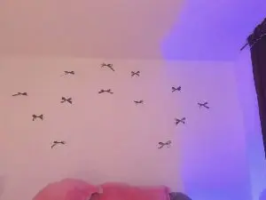 Cam4 Free Porn Cam of sweetmoth88
