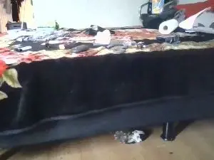 Cam4 Best live sex cam show of darkcore81