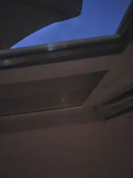 Cam4 Adult Webcam of Doperman