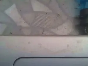 Cam4 Free Live Porn of bomalbelbit