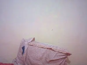 Cam4 Adult Webcam of Hot_nophy
