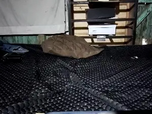 Cam4 Live Sex Cam of Hloco00