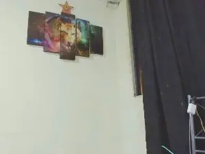 Cam4 Private Sex Chat of Master_Skater