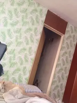 Cam4 Live Sex of Siempreyooooo