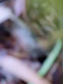 Cam4 Sex Cam of Malepee