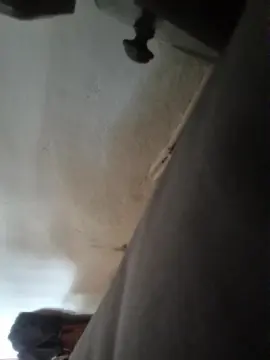 Cam4 Live Porn of Moskita69
