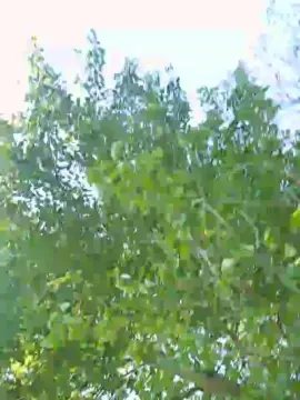 Cam4 Watch Live Sex Cams of housi6fun