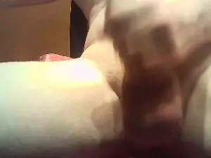 Cam4 Adult Webcam of sexomanis24