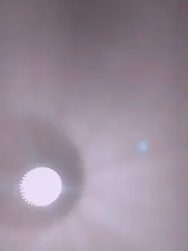 Cam4 Live Sex Cam of gabryee