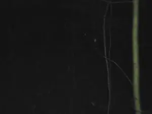 Cam4 Sex Cam of 1europe