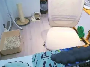Cam4 Free Live Porn of lazybird8899