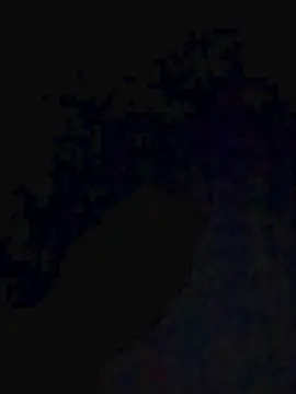 Cam4 Best live sex cam show of Wilyyasmi39