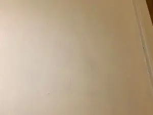 Cam4 Live Porn of Javierapalacios