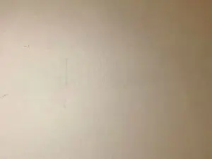 Cam4 Live Sex of Javierapalacios