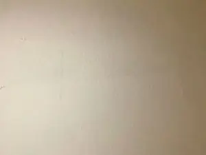 Cam4 Free Porn Cam of Javierapalacios