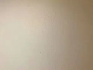 Cam4 Sex Cam of Javierapalacios