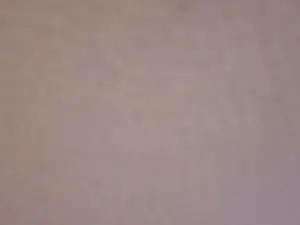 Cam4 Free Porn Cam of popper4u