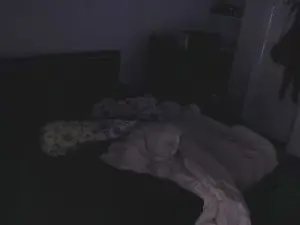 Cam4 Live Sex of BigDaddyBossD