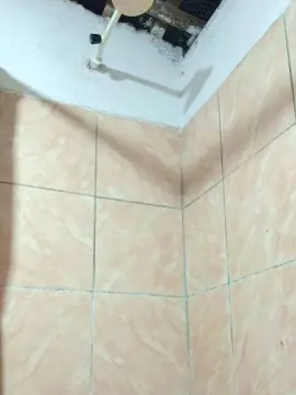 Cam4 Nude Webcam of cachorrosolto1
