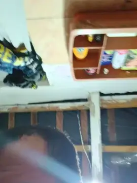Cam4 Sex Cam of cachorrosolto1