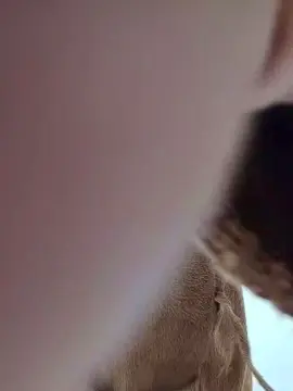 Cam4 Sex Chat of 22cmBigCockMilk