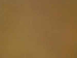 Cam4 Best live sex cam show of too_gusto