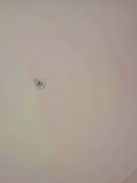 Cam4 Adult Webcam of Dvolta00