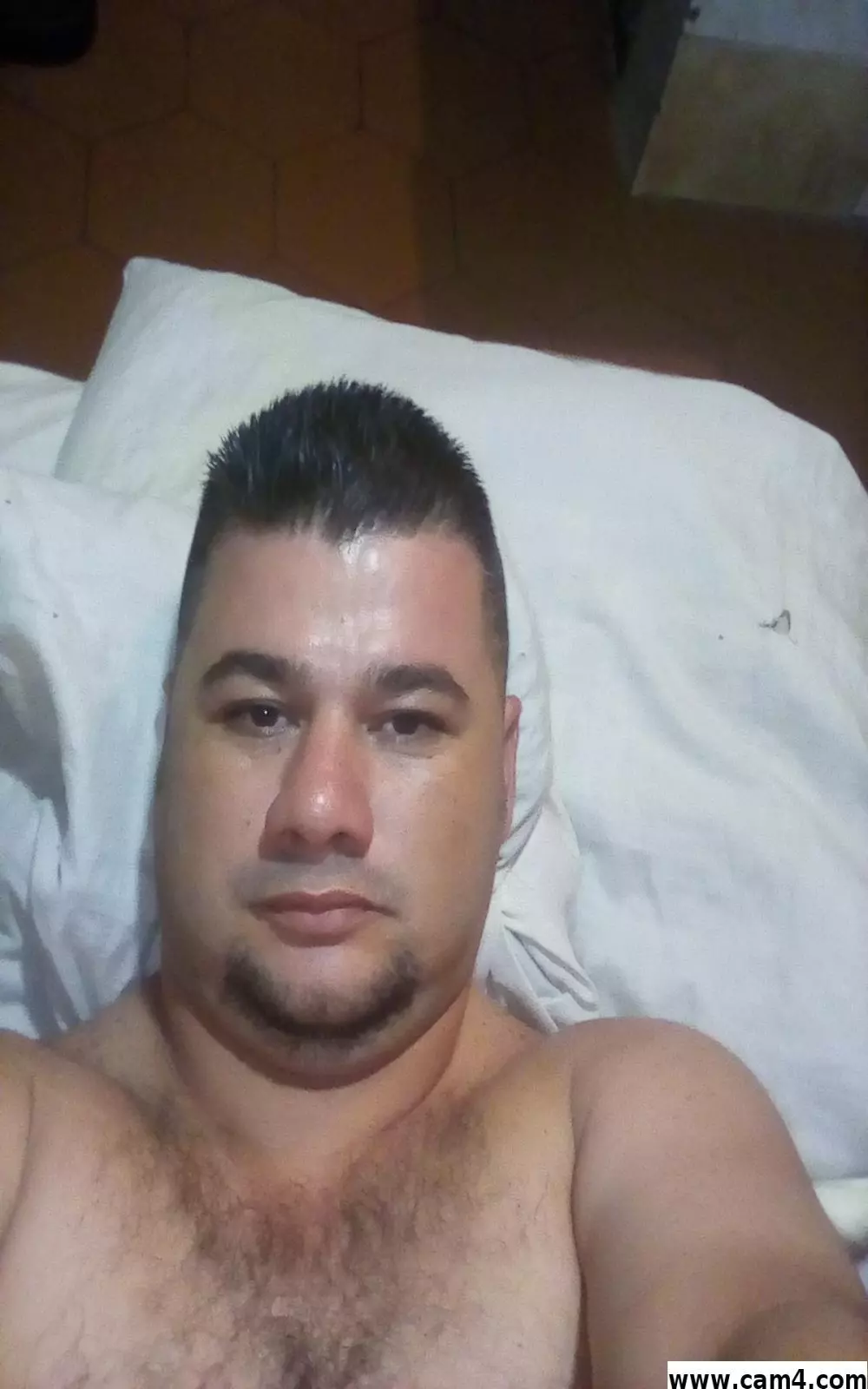 Cjvo