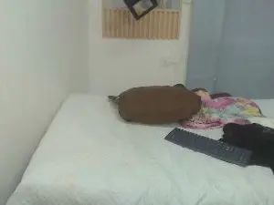 Cam4 Live Porn of Iantwink18
